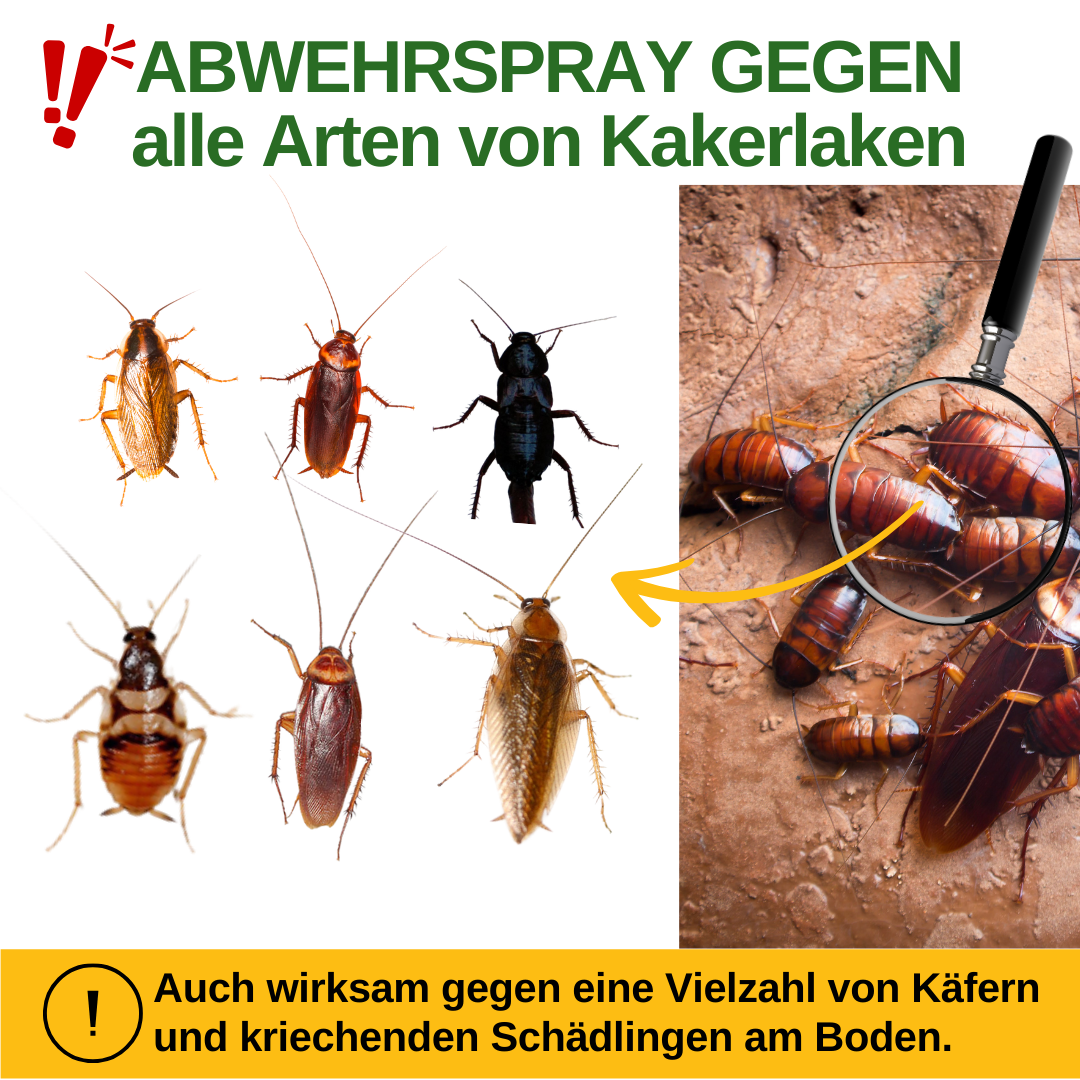 Kackerlacksavvisande spray med kraftfullt koncentrat