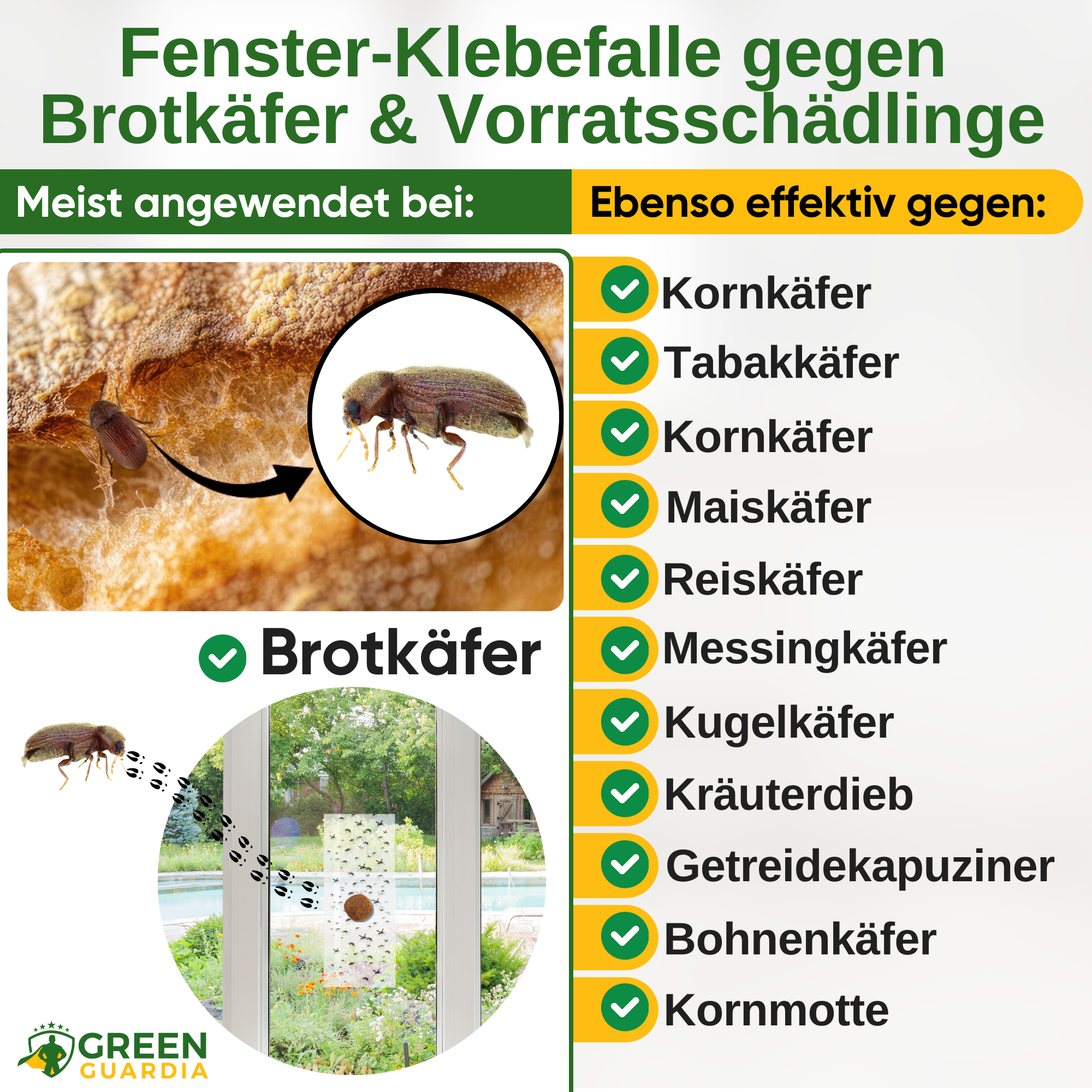 Fönsterfälla för brödbaggar med speciellt lockmedel
