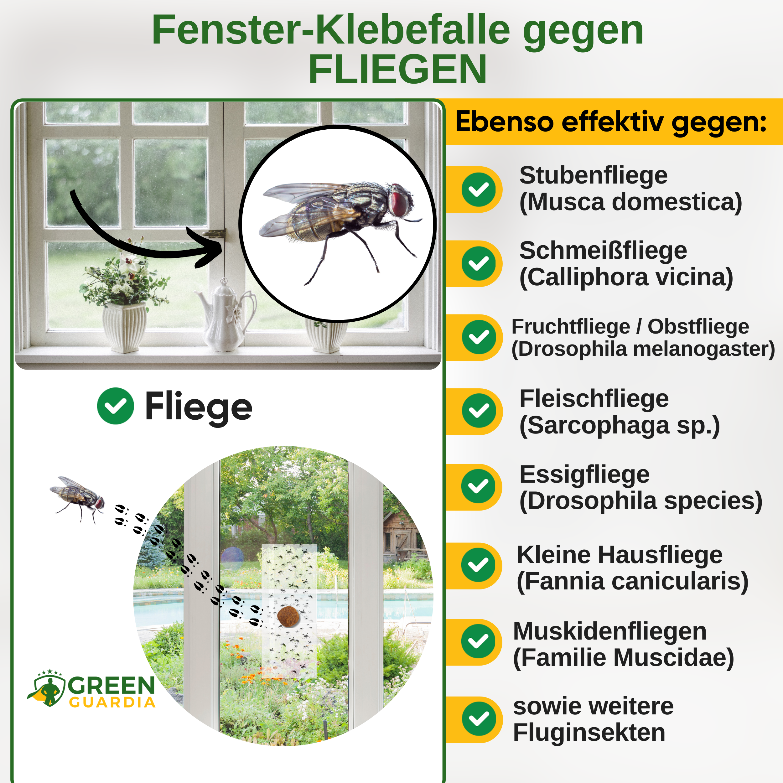 Flugfönsterfälla med speciellt lockmedel