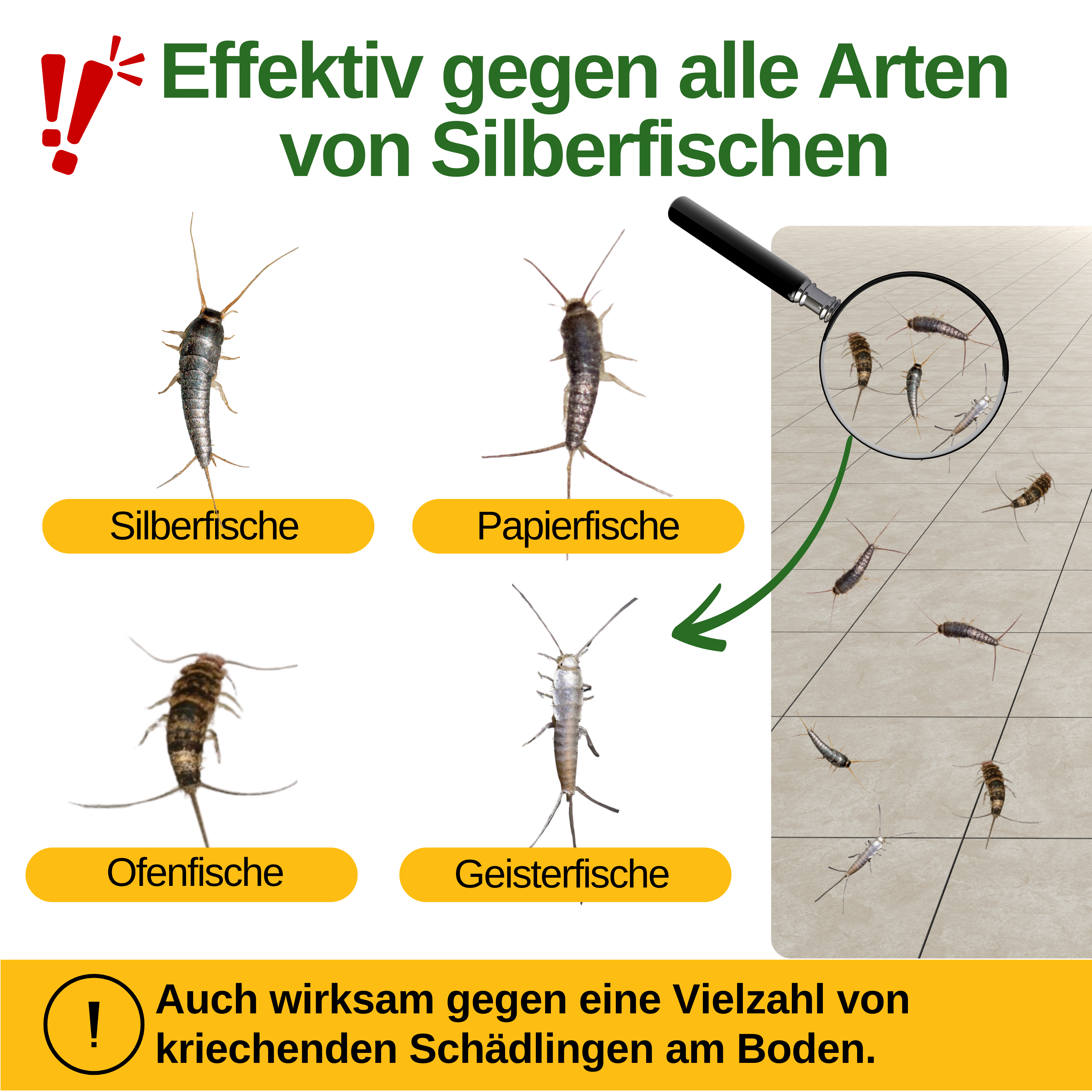 Silverfiskfälla med speciellt lockmedel