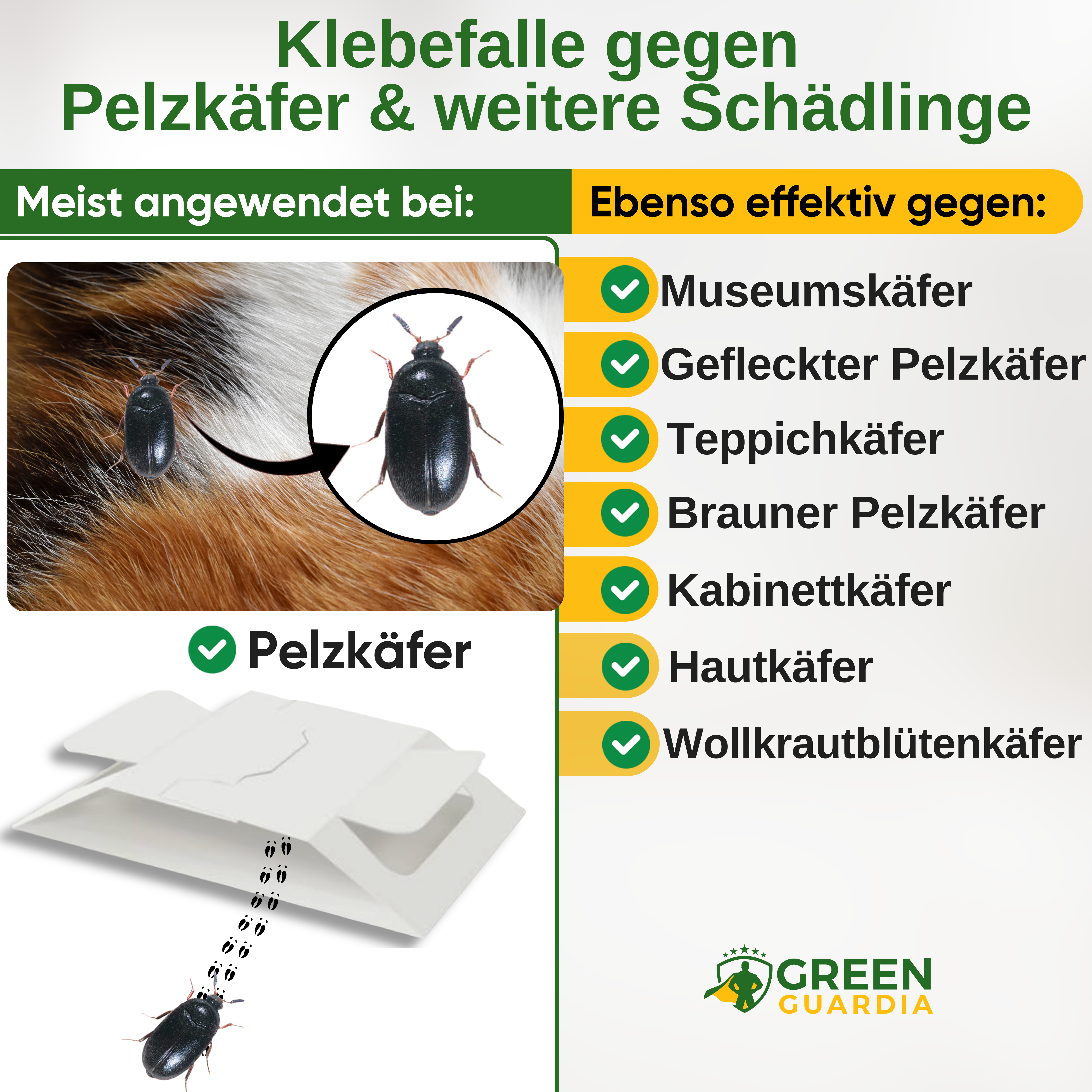 Pälsbaggefälla med speciellt lockmedel