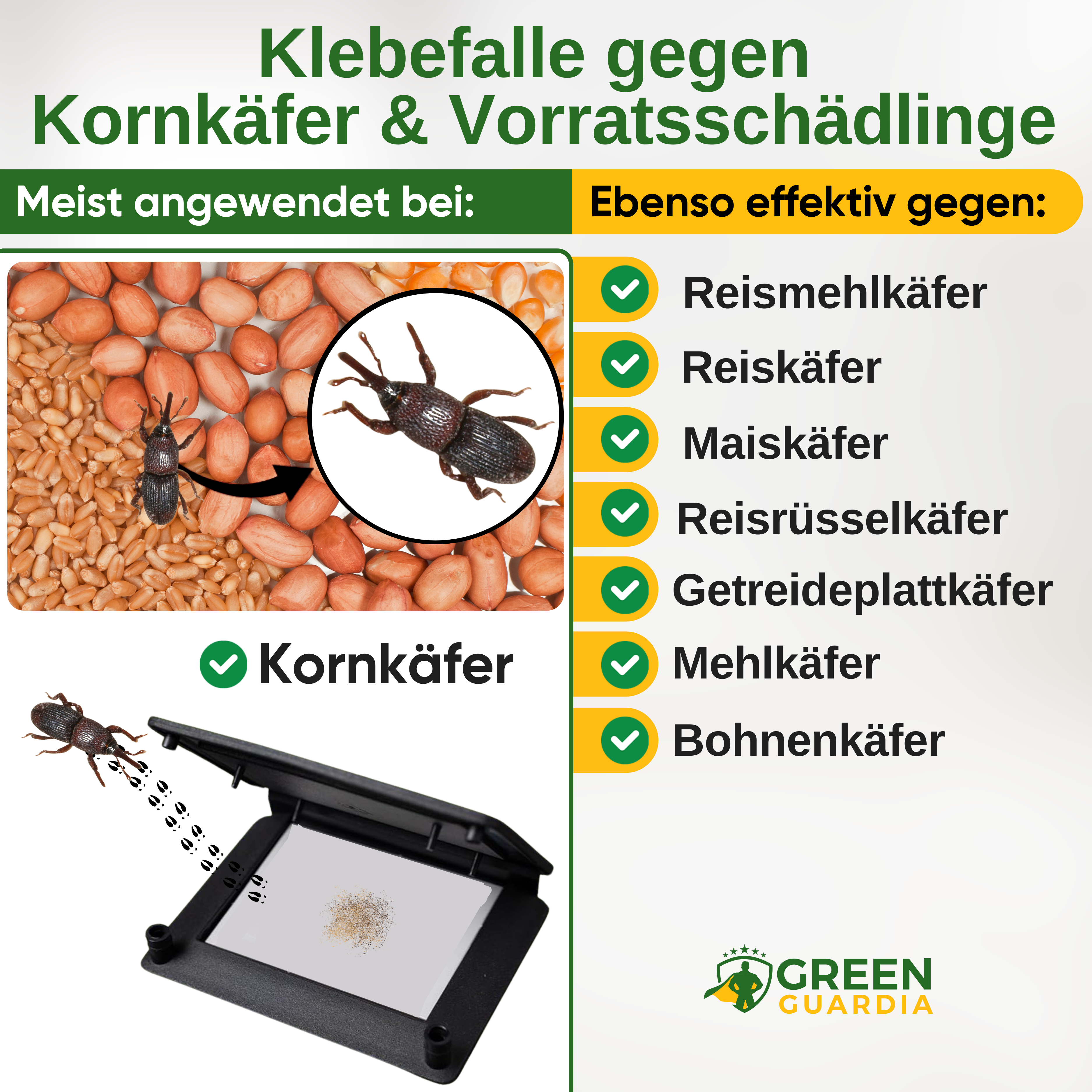 Sädesbaggefälla med feromonlockmedel