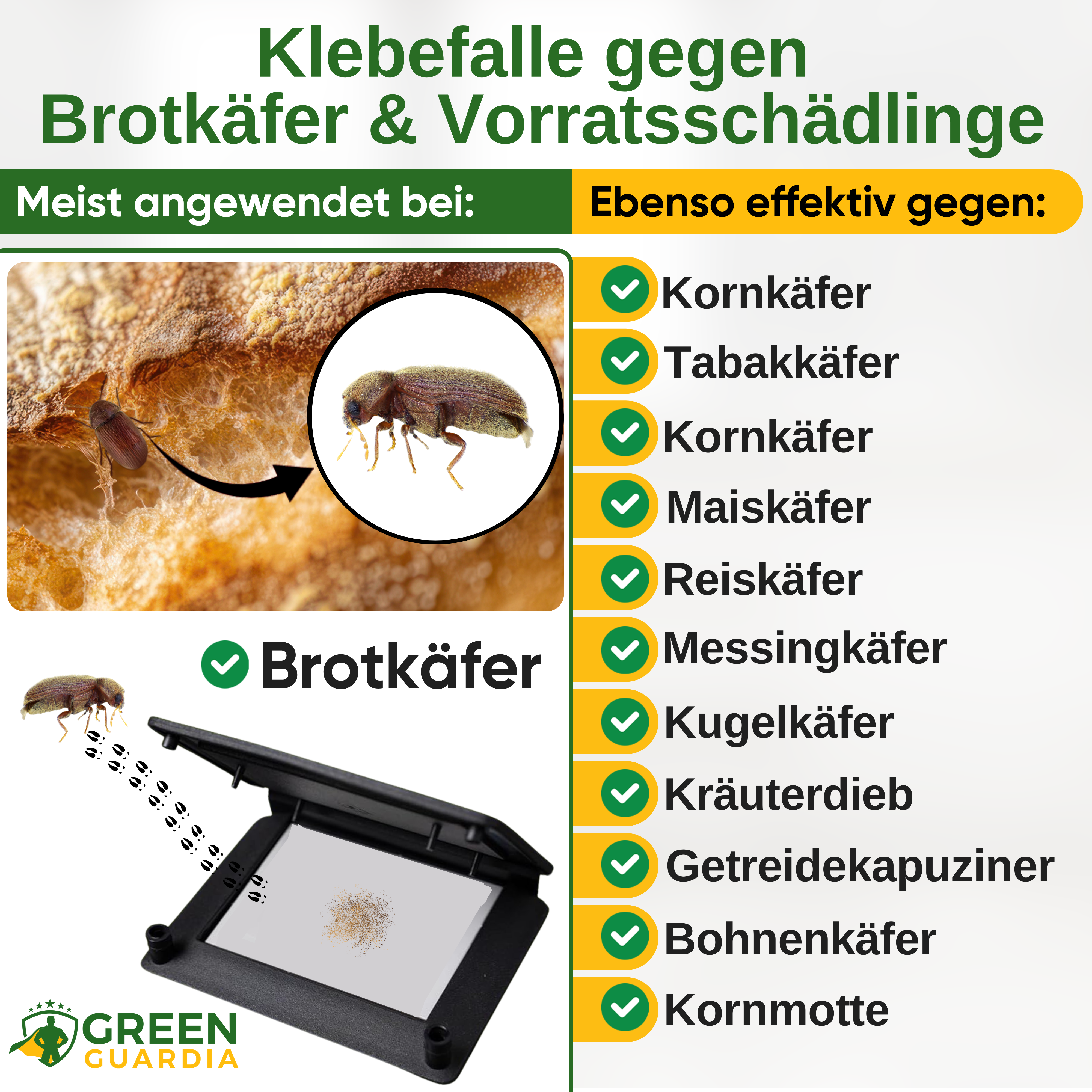 Brödbaggefälla med feromonlockmedel