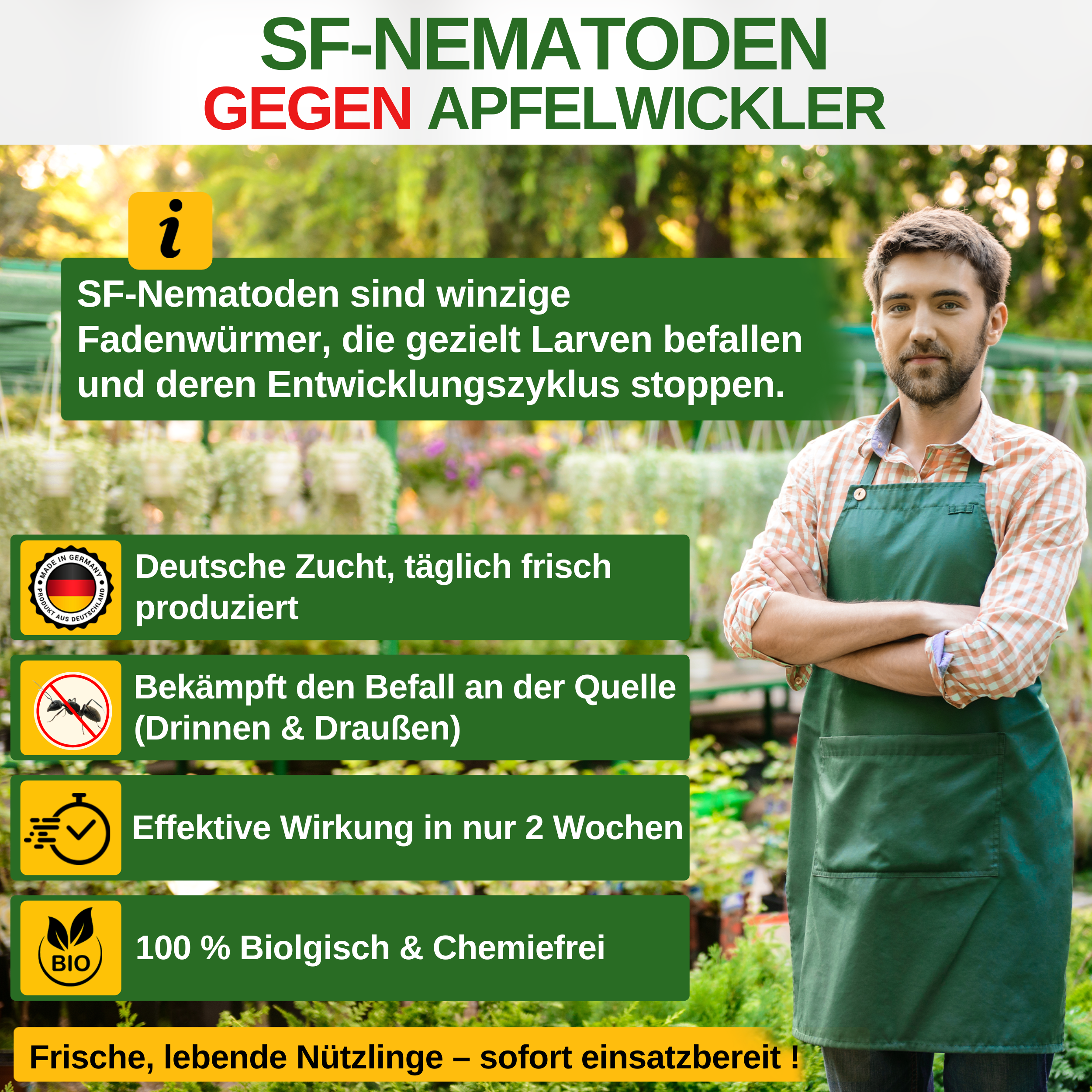 SF-nematoder mot kodlingmal