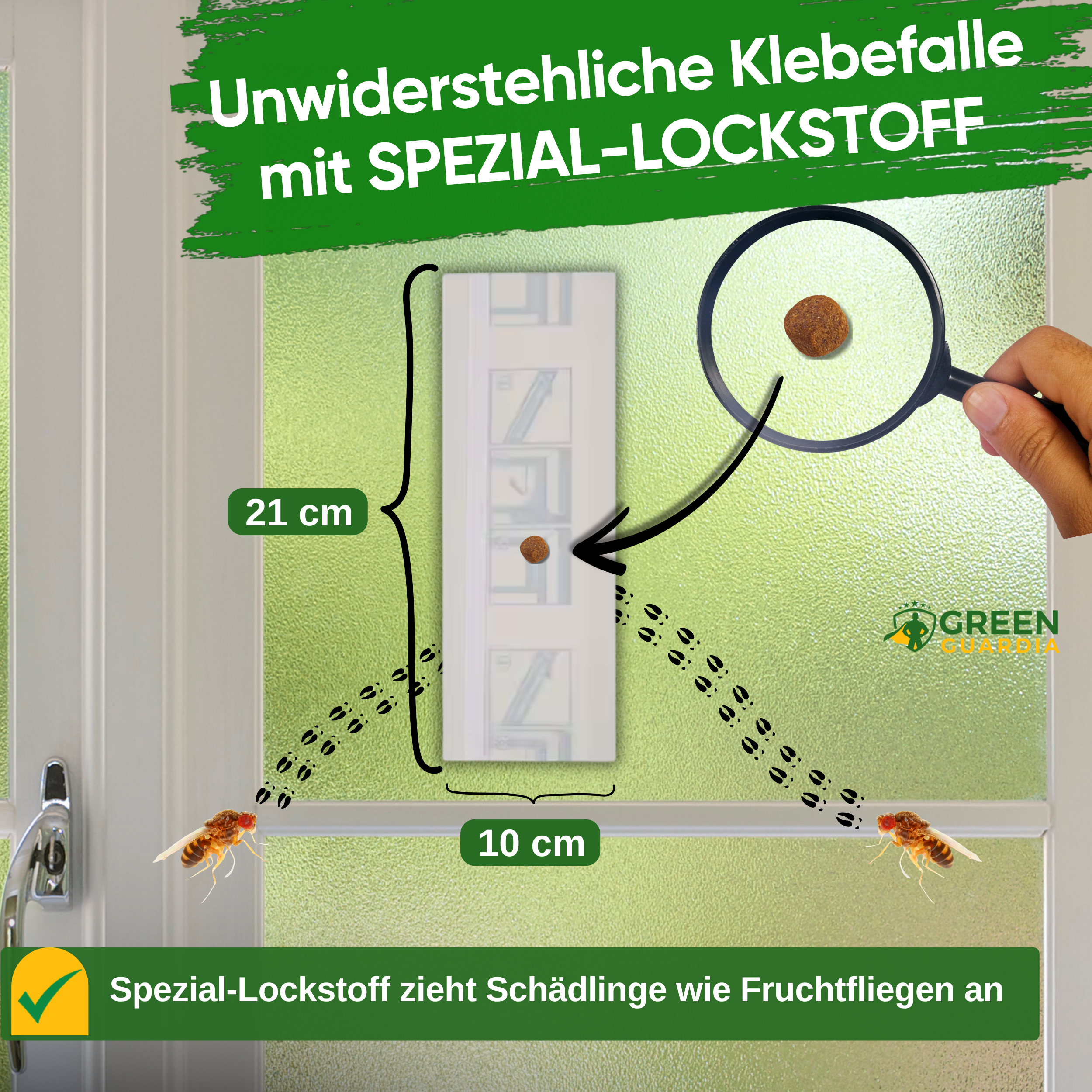 Fruktflugefönsterfälla med speciellt lockmedel