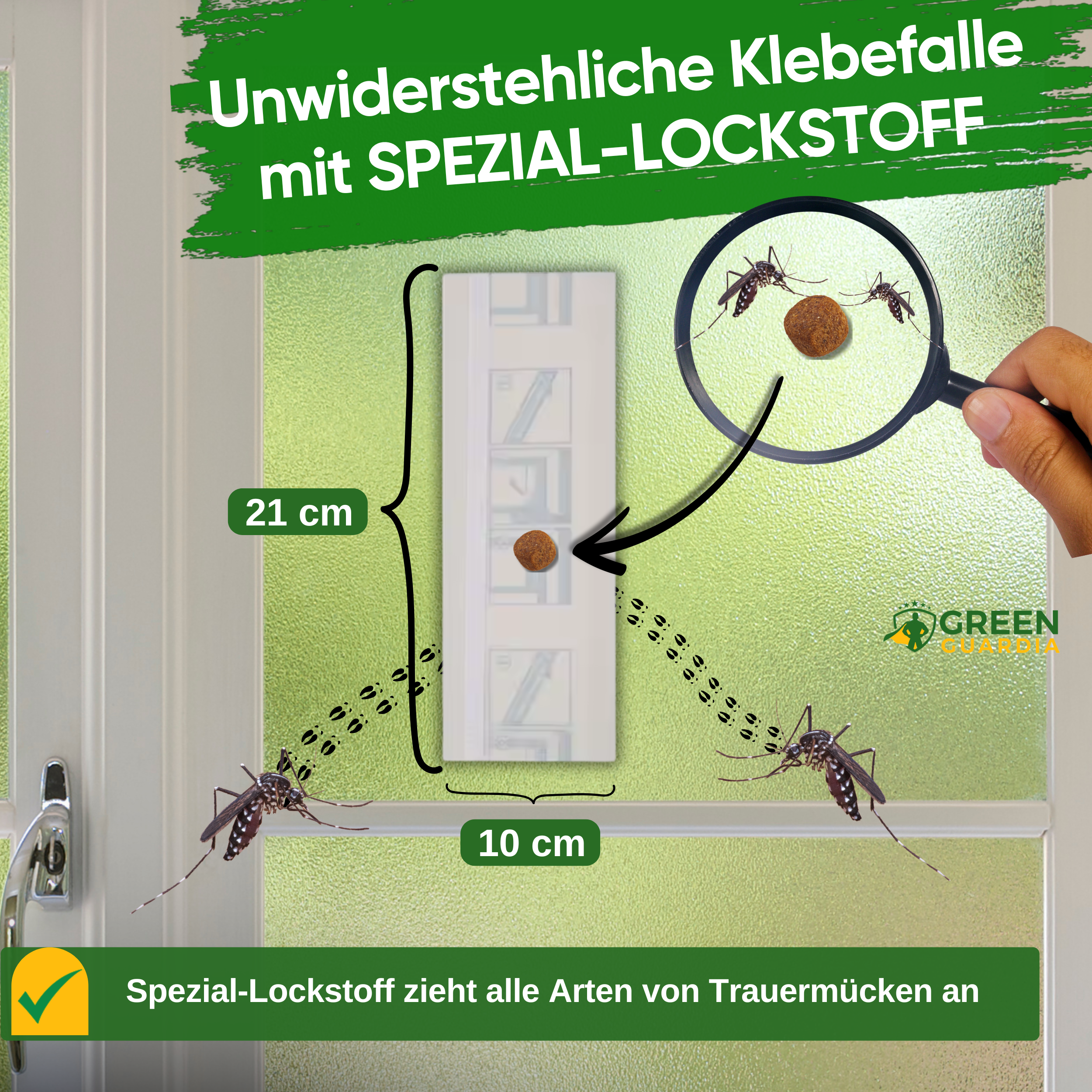 Fönsterfälla för svampmyggor med speciellt lockmedel