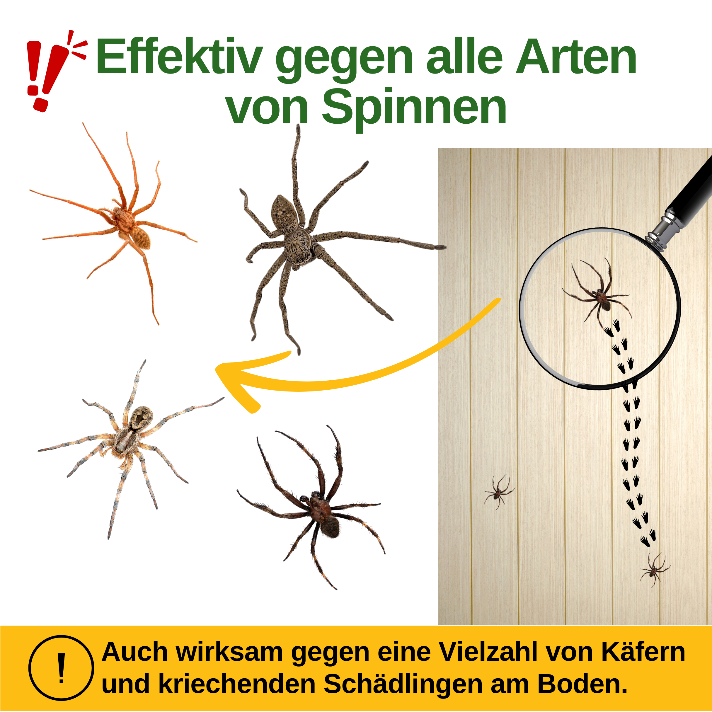 Spindelfälla med speciellt lockmedel