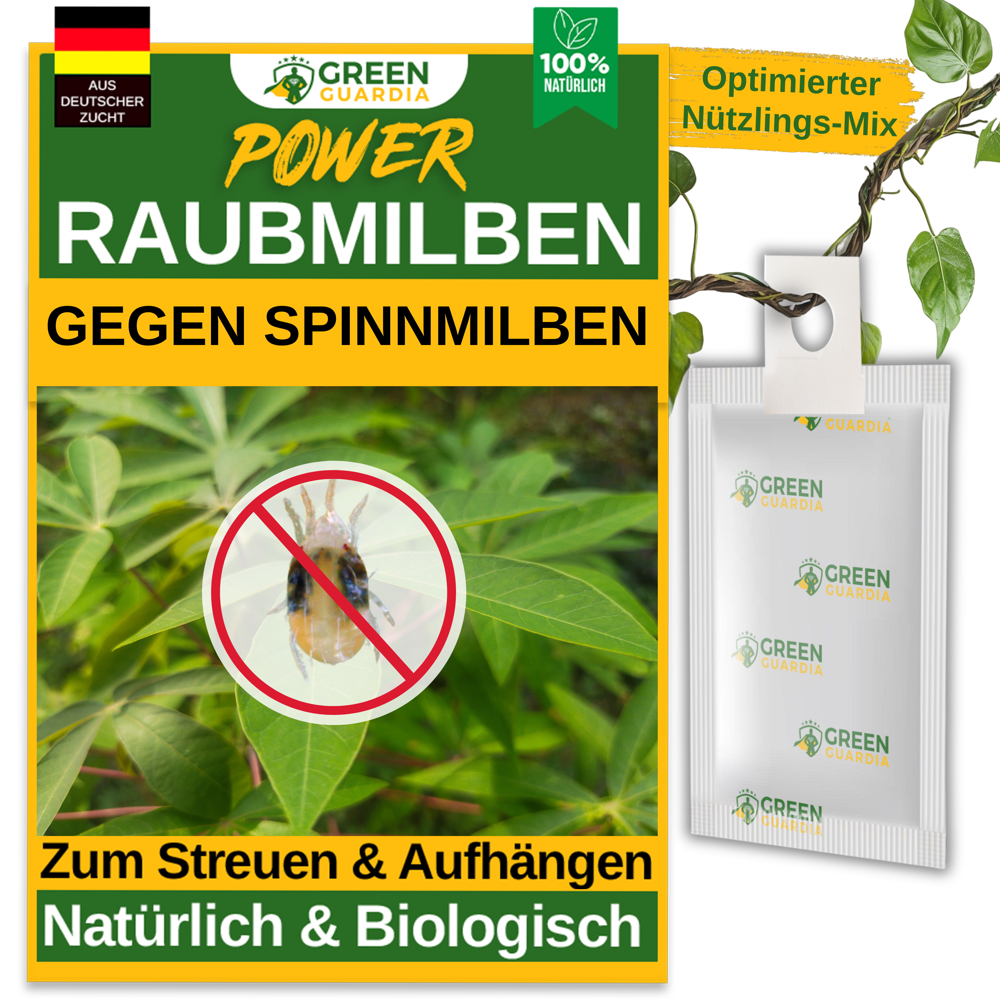 Predatory mites against spider mites for hanging or scattering