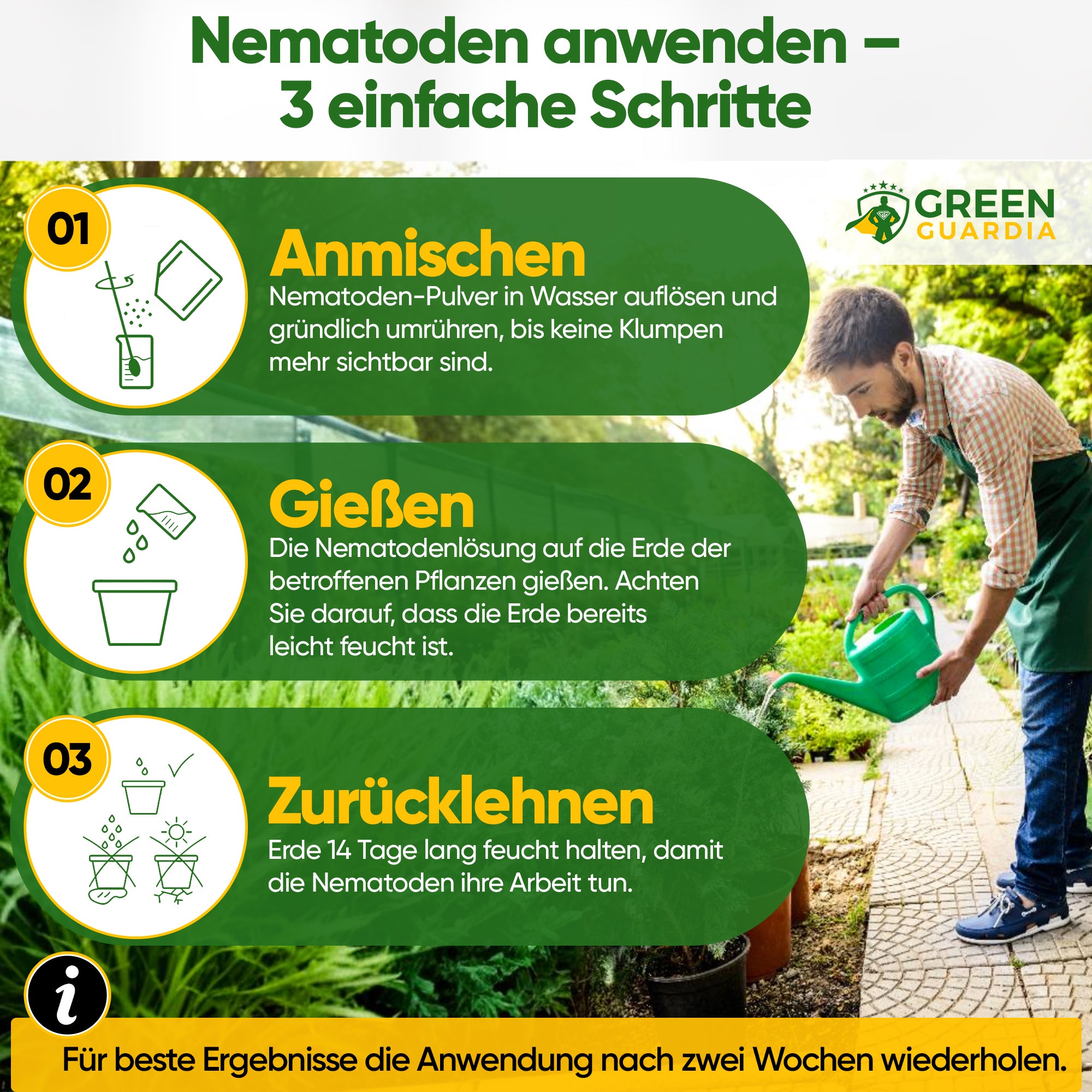 SF-nematoder mot svampmyggor, kodlingmalar och myror