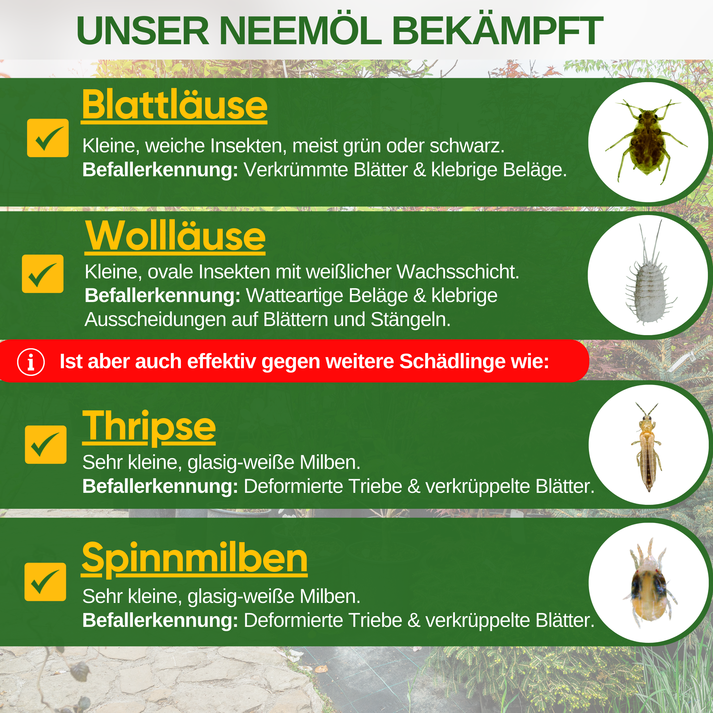 Power Neem-olja mot bladlöss och mjölbuggar