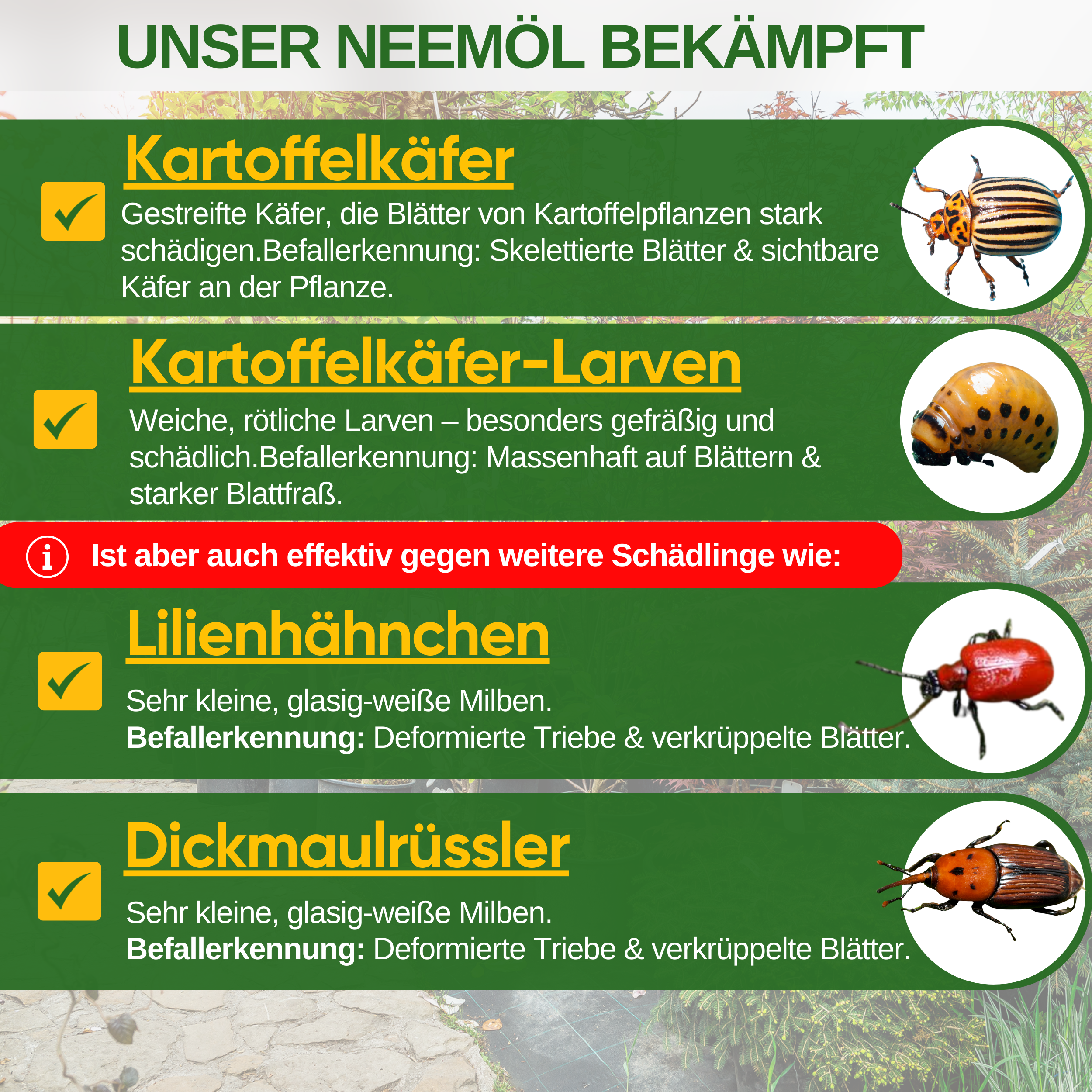 Power Neem-olja mot Colorado-potatisbaggar