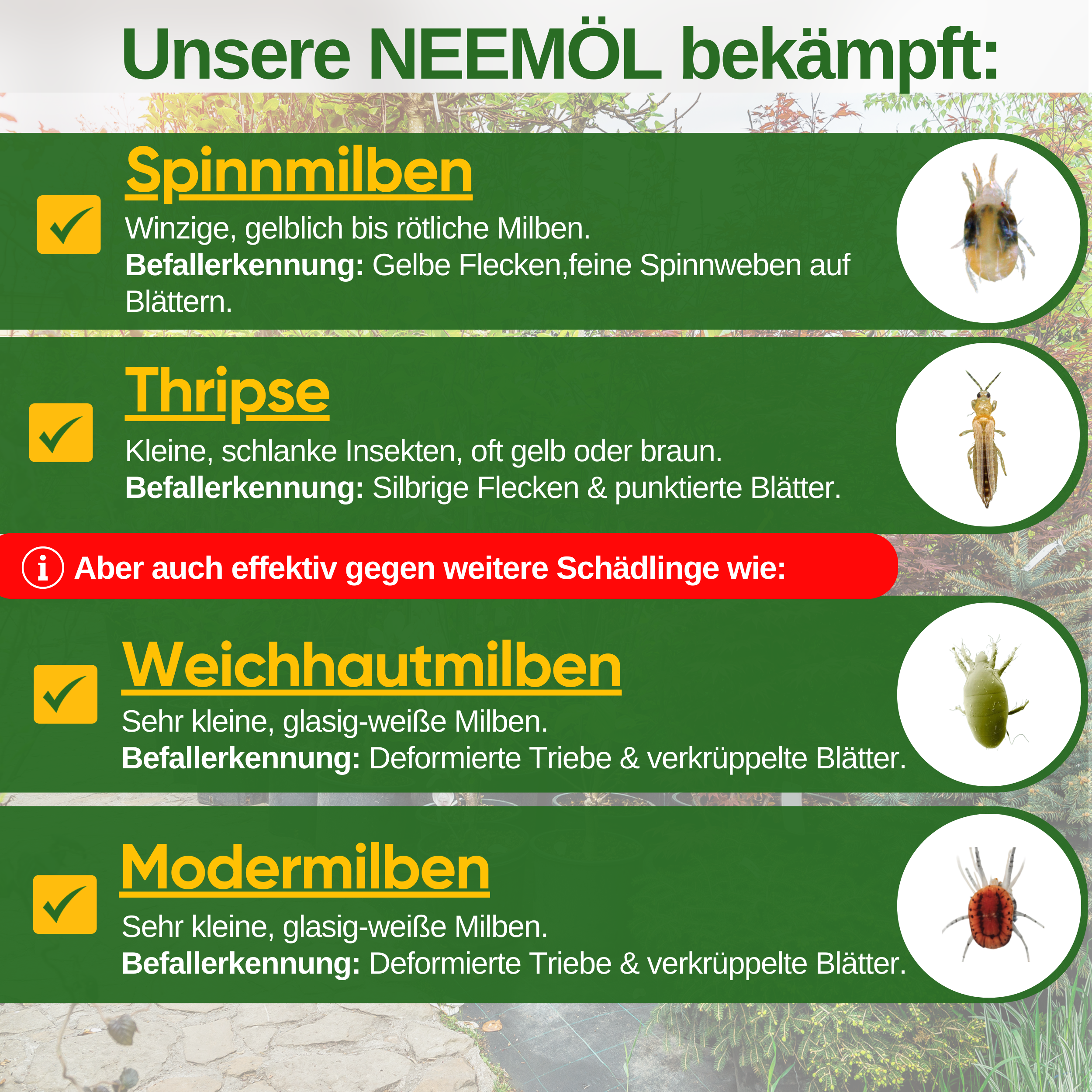 Power Neem-olja mot spinnkvalster