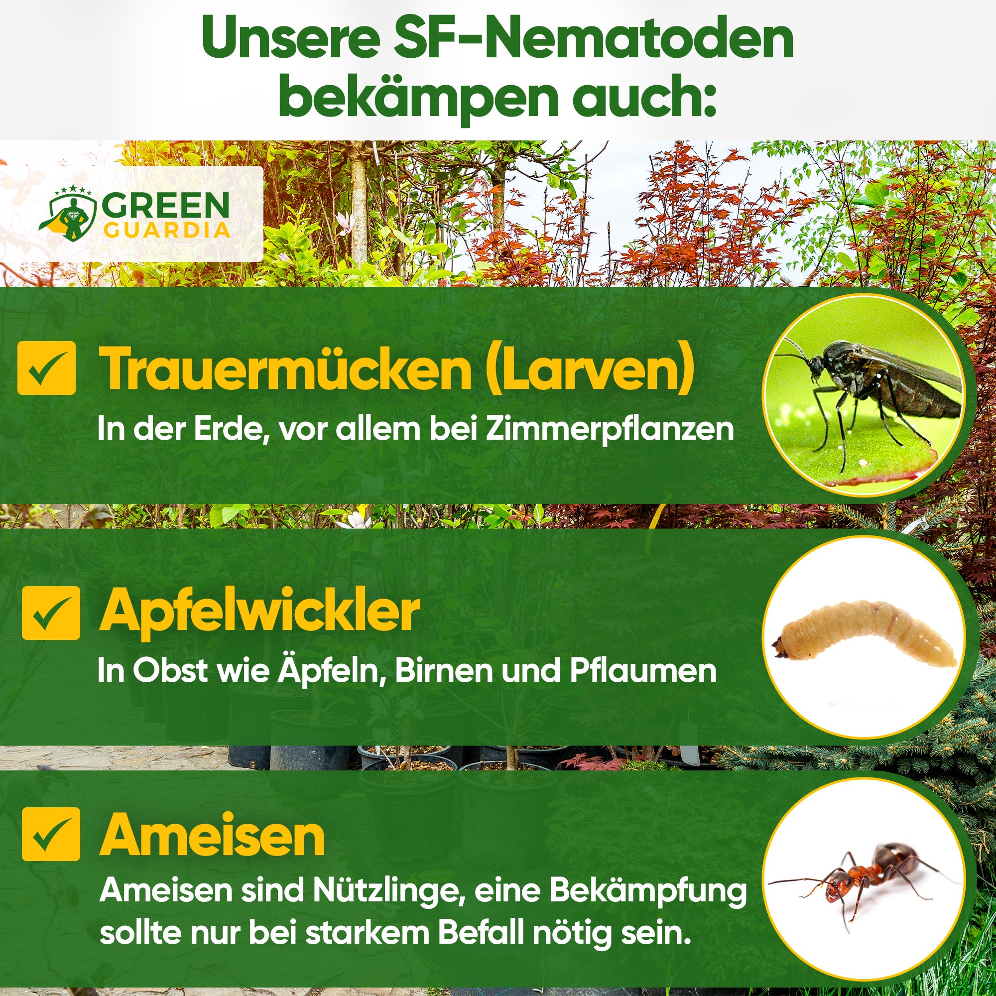 SF-nematoder mot svampmyggor, kodlingmalar och myror