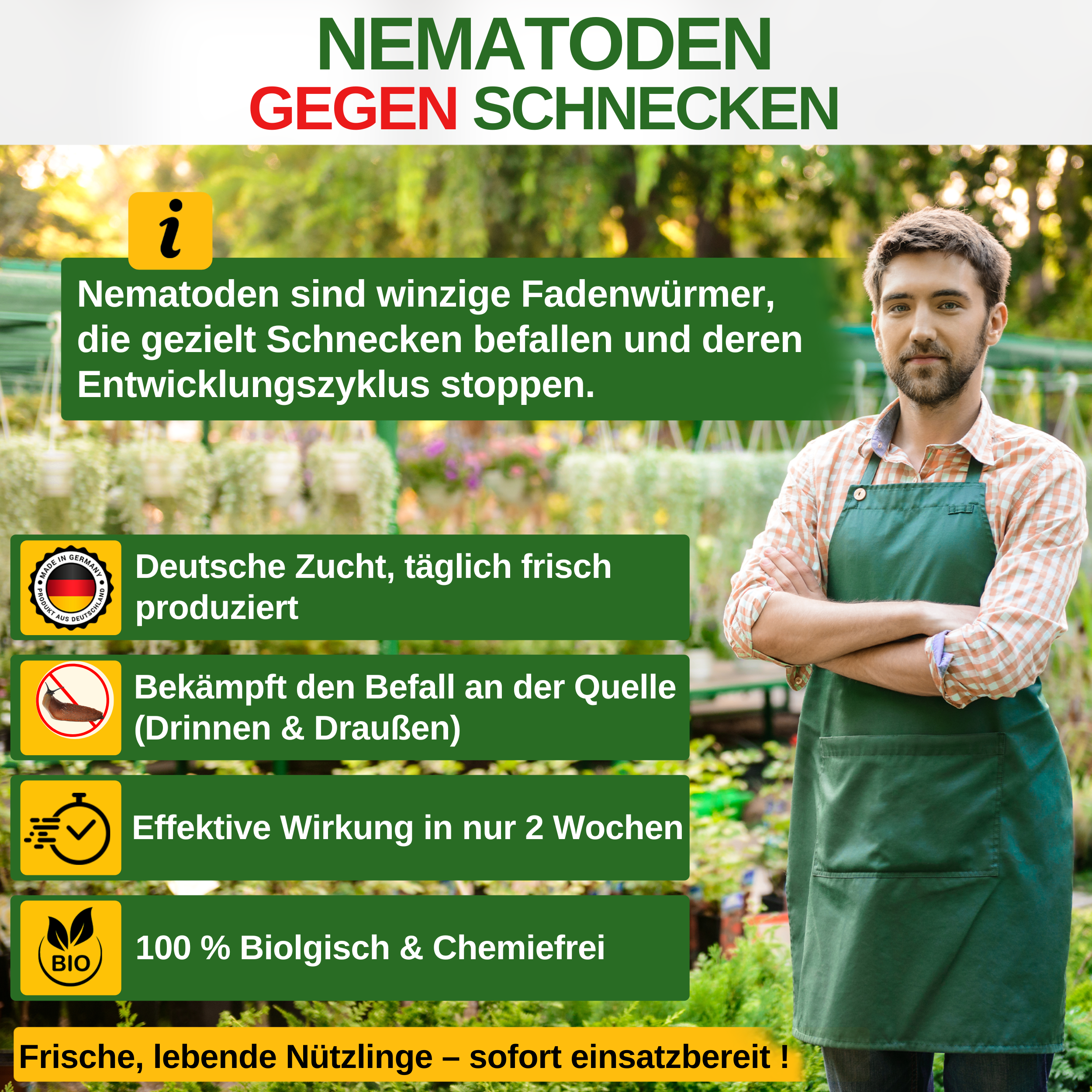 Nematoder mot alla typer av sniglar