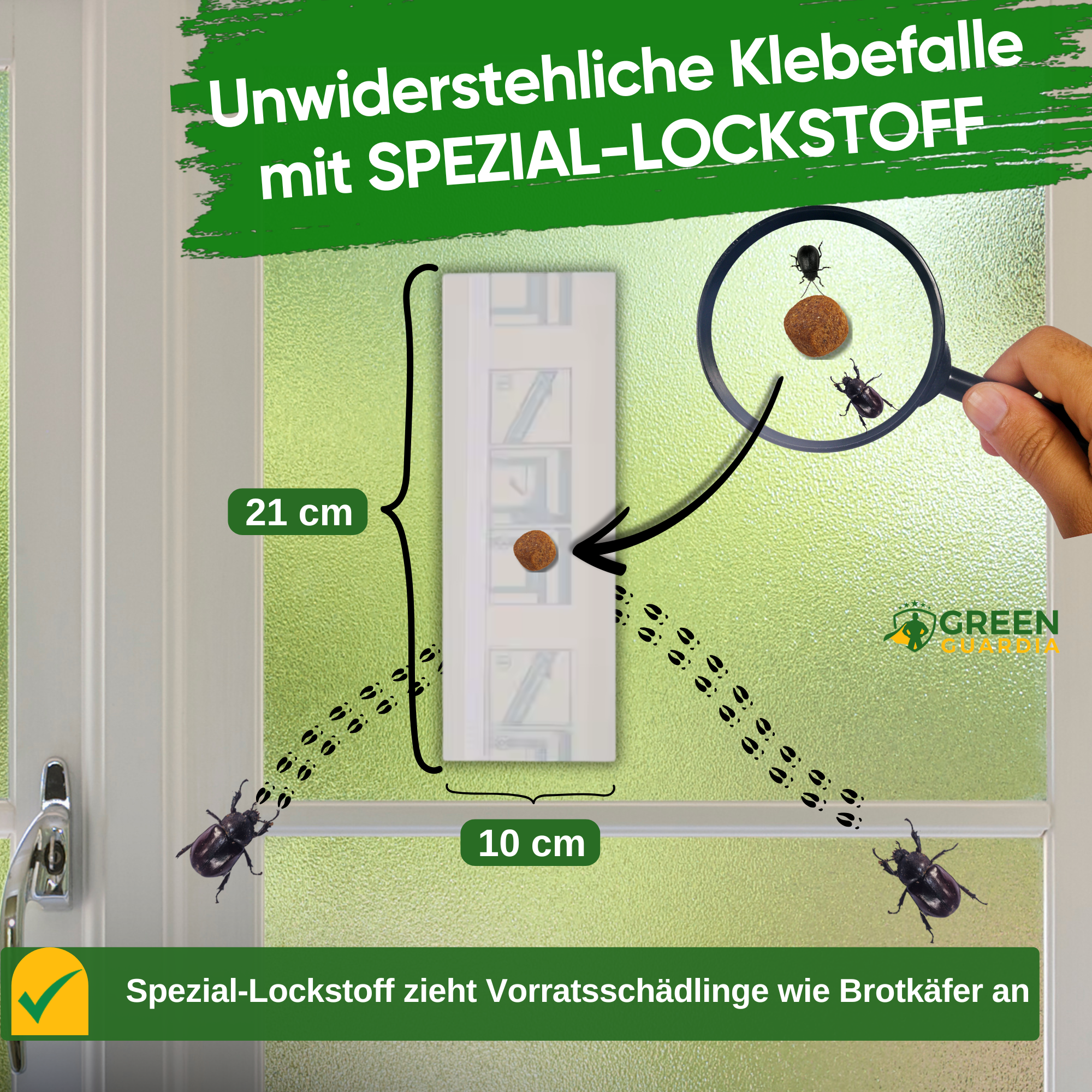 Fönsterfälla för brödbaggar med speciellt lockmedel