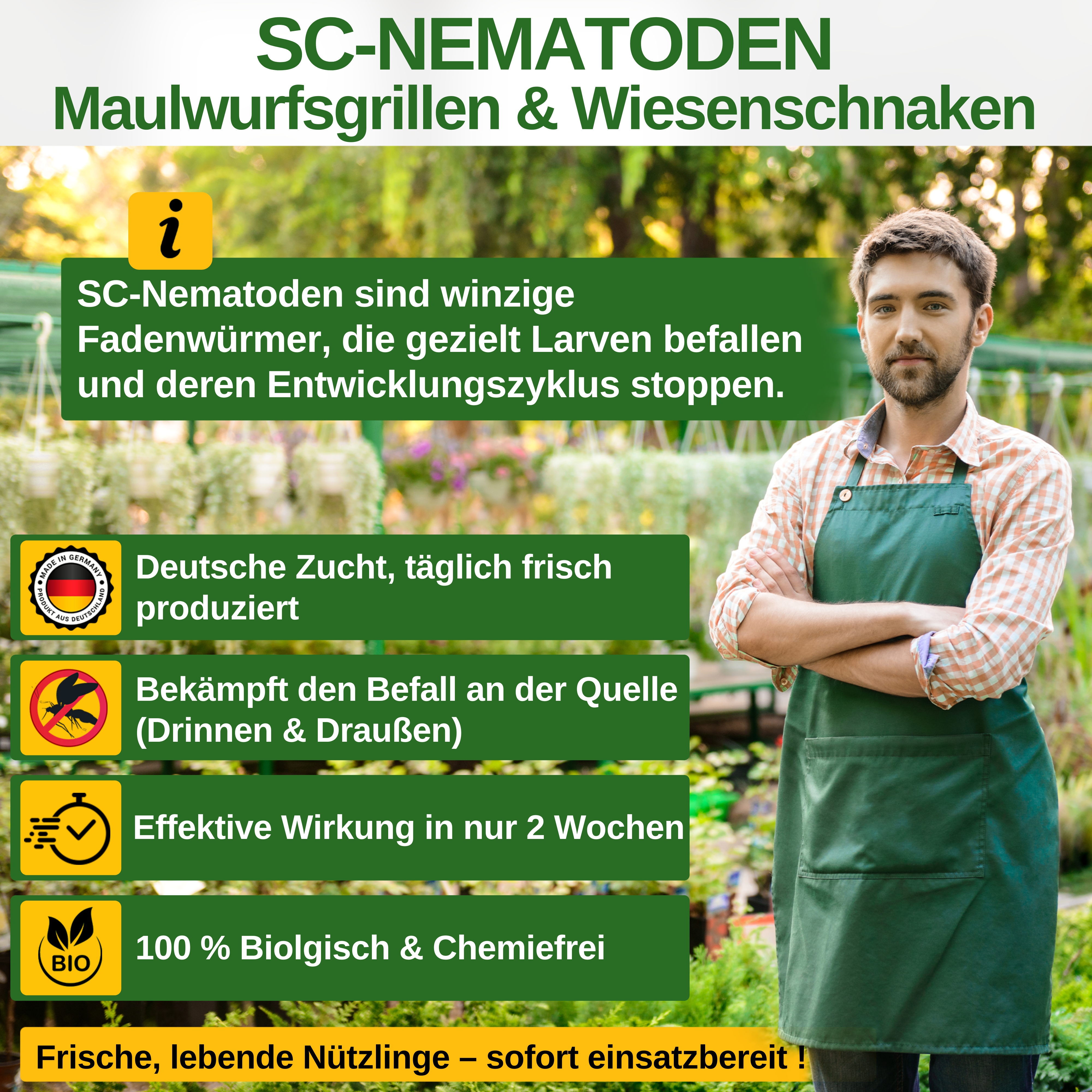 SC-nematoder mot mullvadssyrsor, gräshoppor och snårmaskar