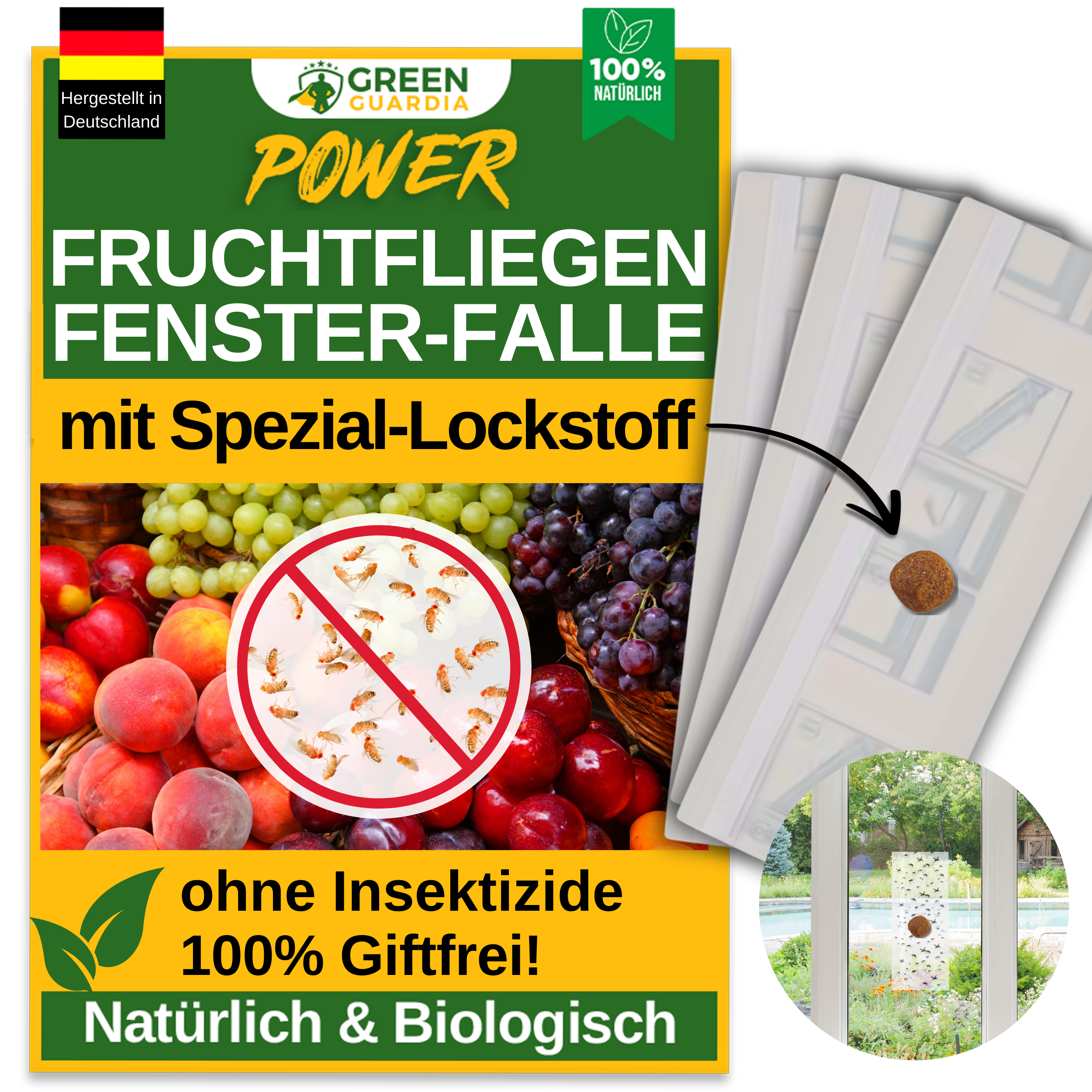 Fruktflugefönsterfälla med speciellt lockmedel